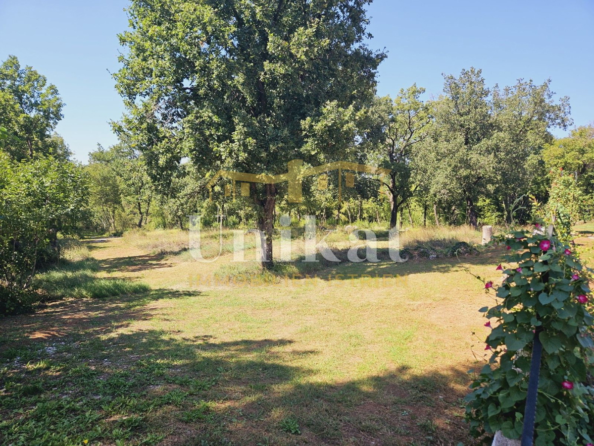 Posest z obnovljeno kamnito hišo, vrtom in bazenom